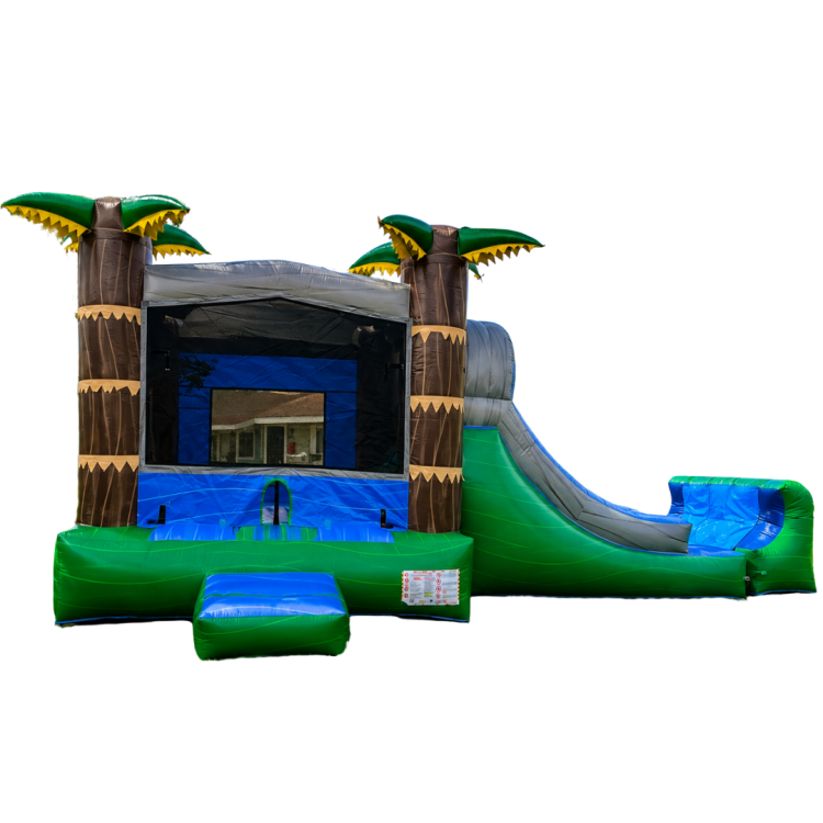 Bounce House With Slide Rentals